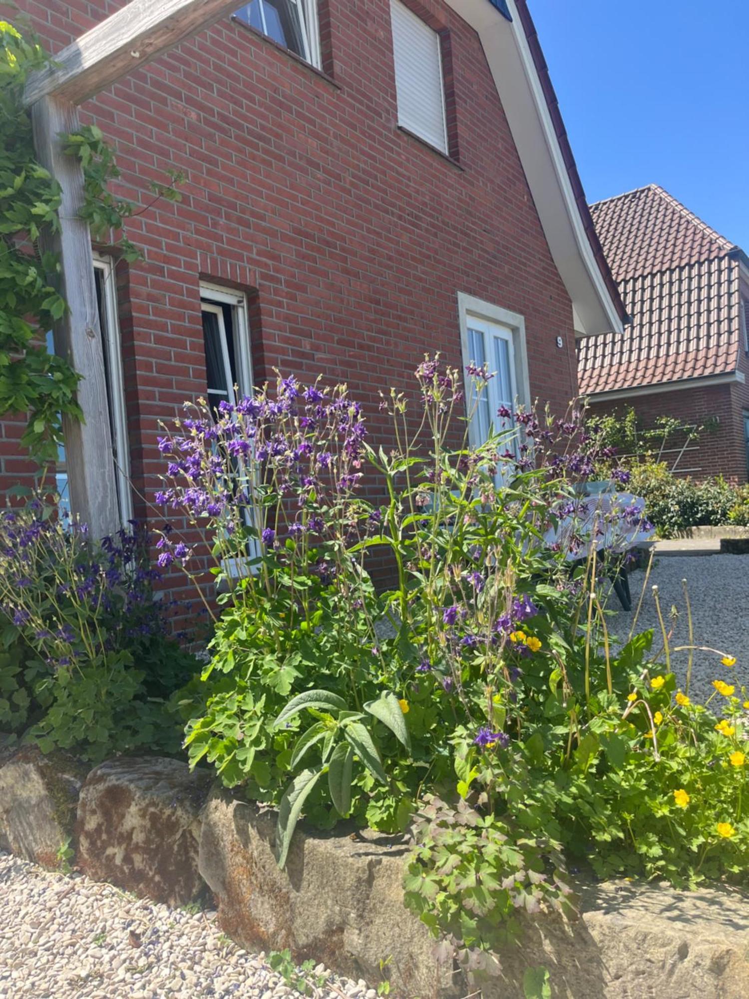 Ferienwohnung Waldseite Bad Bentheim Esterno foto